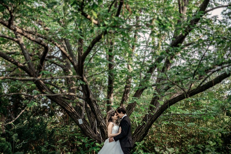 Fotógrafo de casamento Janos Kummer (janoskummer). Foto de 18 de setembro 2020