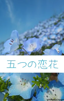 五つの恋花