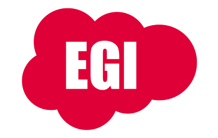 EGI Salesforce Features Preview image 0