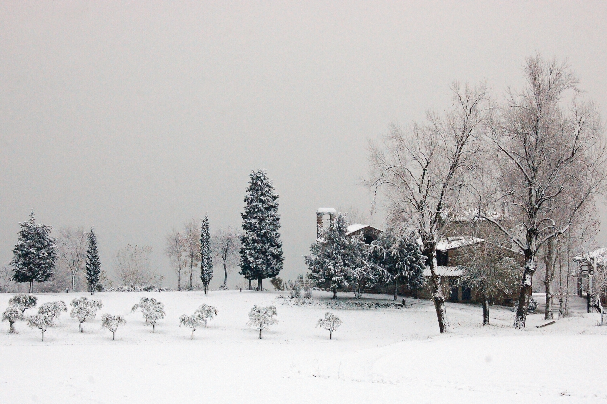 Sotto la neve di utente cancellato