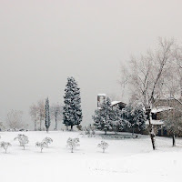 Sotto la neve di 