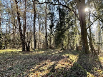 terrain à Niederbronn-les-Bains (67)