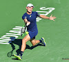 Achtste reekshoofd David Goffin mag een ronde verder in Miami