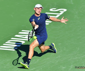 Achtste reekshoofd David Goffin mag een ronde verder in Miami