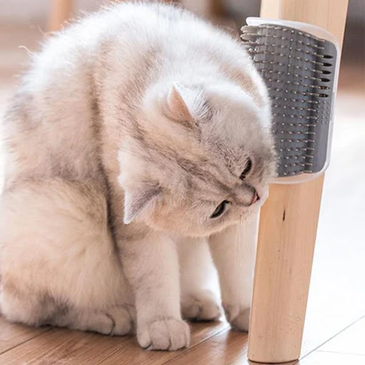 Cat Brush Comb Hair removal Cat Self Groomer Wall Corner Scratcher Comb Soft Massage Brush Scratch Massager Cat Toy Pet 