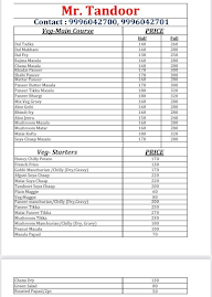 Mr. Tandoor menu 1