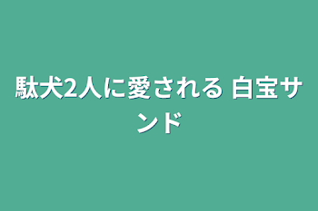 駄犬2人に愛される  白宝サンド