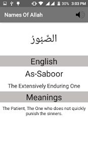 Names of Allah with Audio - náhled