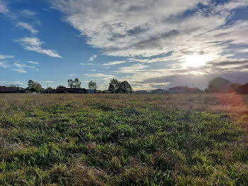 terrain à Campagne (40)