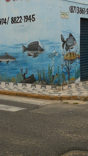 Mural Esquina Do Peixe