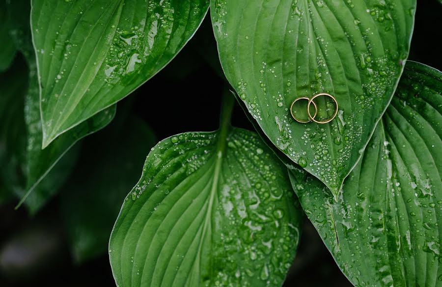 Wedding photographer Yuriy Stebelskiy (blueclover). Photo of 16 July 2015