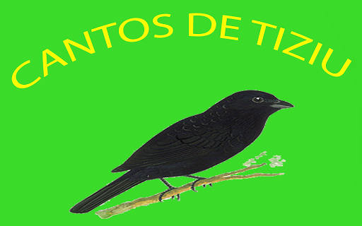 Cantos de Tiziu