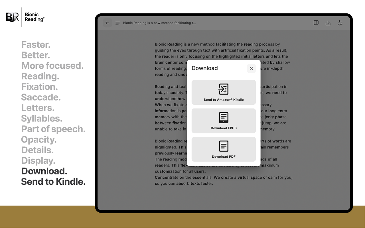 Bionic Reading Preview image 13