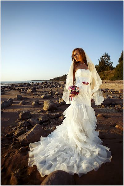 Wedding photographer Aleksey Bocok (photovision). Photo of 31 October 2014