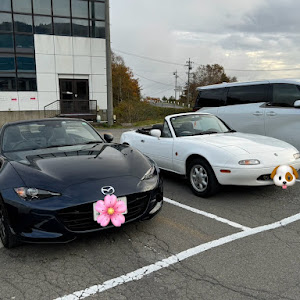 ロードスター NA6CE