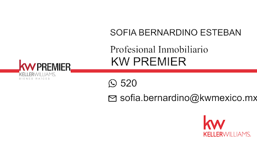 Business Card agent