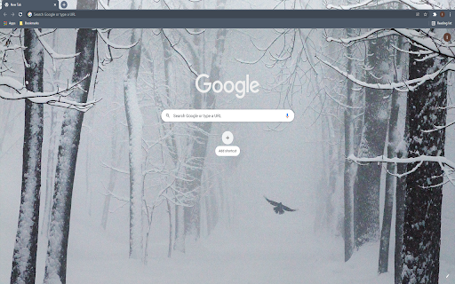 Snow Bird HD Wallpaper Theme