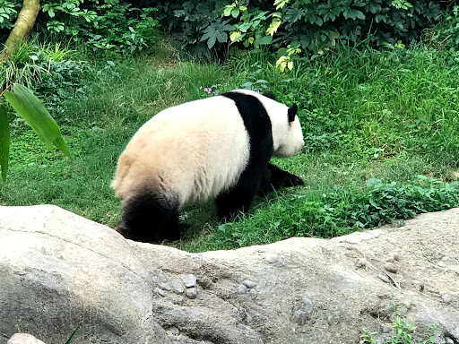 Hong Kong China 2018