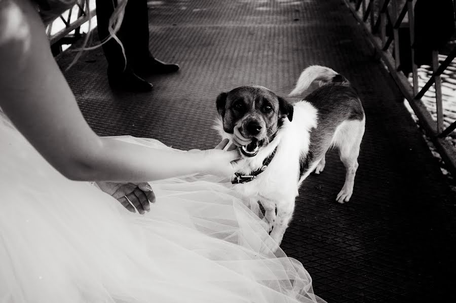 Fotógrafo de casamento Nadezhda Zolotareva (nz1989). Foto de 25 de outubro 2014