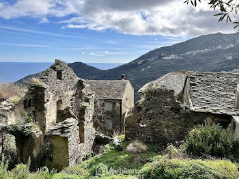 terrain à Santa-Maria-di-Lota (2B)