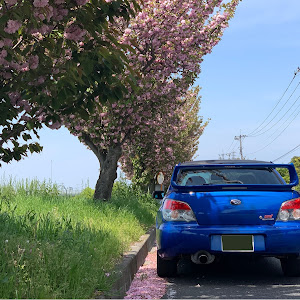 インプレッサ WRX STI GDB