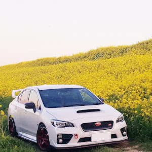 WRX STI VAB