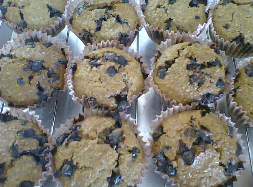 Chocolate chip bran muffins fresh out of the oven!