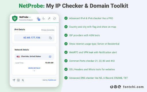 NetProbe - My IP Checker & Domain Tools