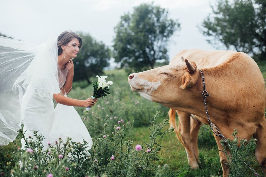 Fotógrafo de casamento Yuliya Podosinnikova (yulali). Foto de 12 de julho 2015