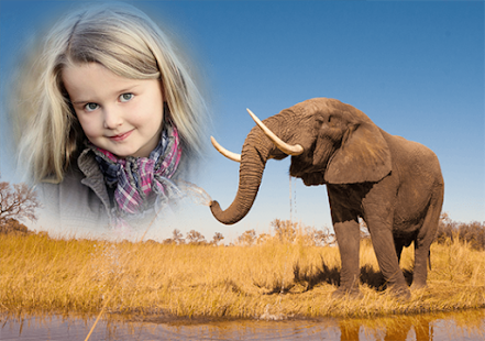 Animal Photo Frame(圖4)-速報App