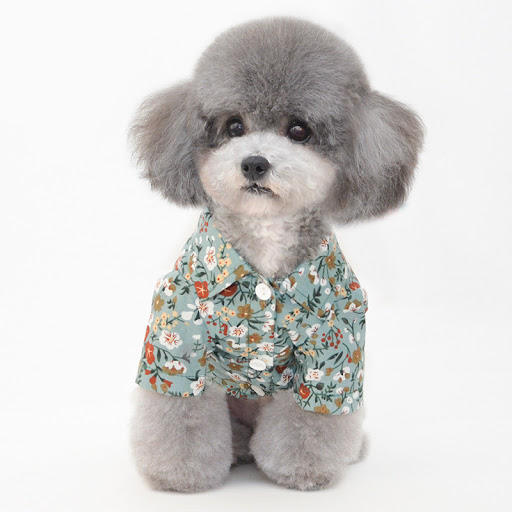 Title 1, Dog Overalls, Pumpkin Pants & Pet Clothes! Dres...
