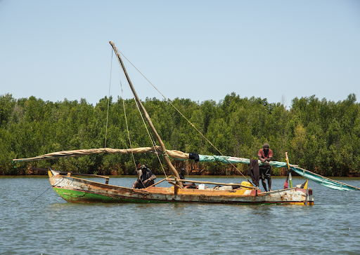 Boat and mangrove on the Betsiboka delta @ IRD DIDEM Rijasolo