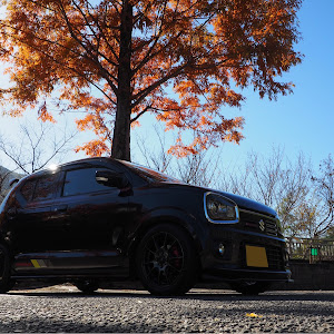 アルトワークス HA36S