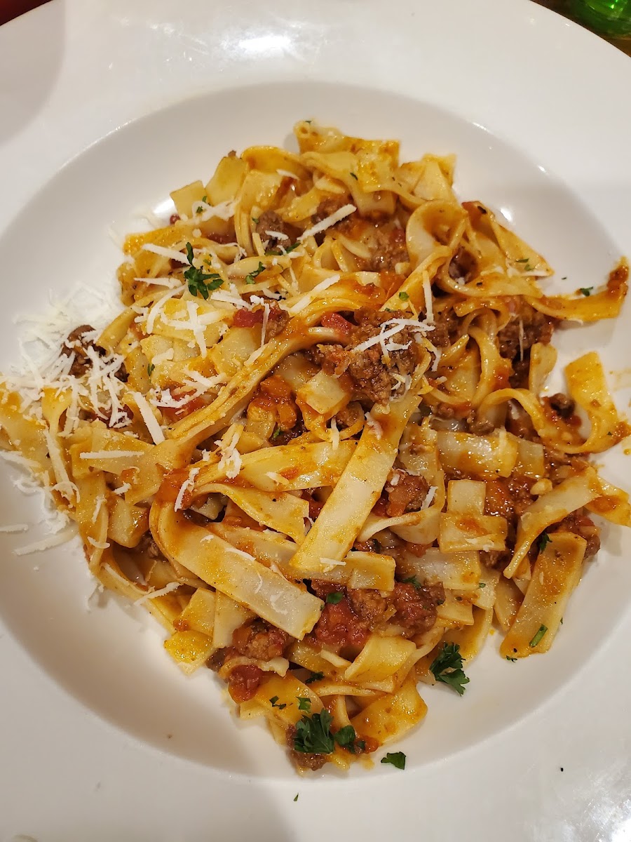 Bolognese