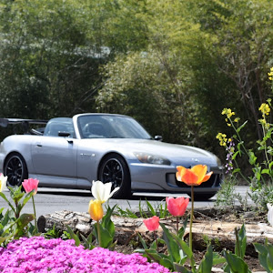 S2000 AP2