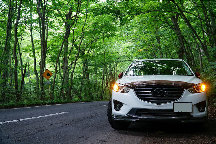 CX-5の青森・陸奥湾・国道279号線・奥入瀬渓流・十和田湖に関するカスタム事例の投稿画像4枚目