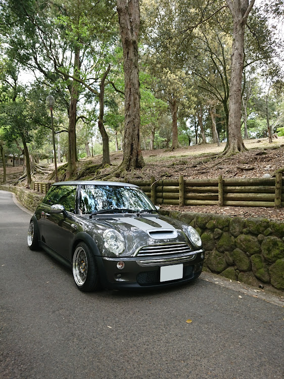 ミニクーパーSの自粛生活・カメカツ・洗車・コロナウイルスに負けるなに関するカスタム事例の投稿画像1枚目
