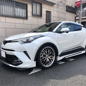 C-HR ZYX10