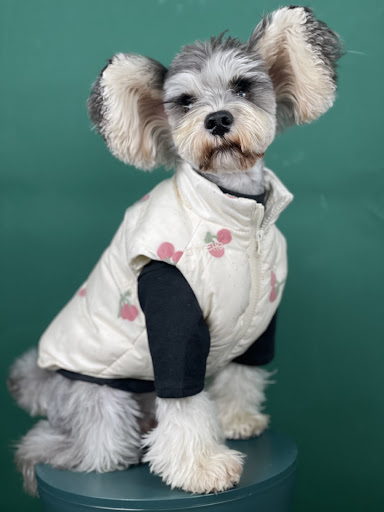 Title 4, Fashion Dog Clothes Autumn And Winter Warm Cher...