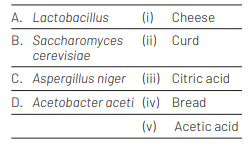 Microbes in Household Products