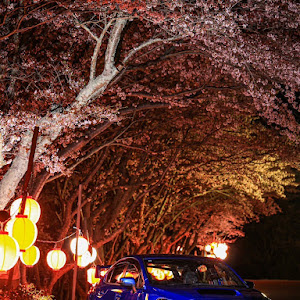 WRX STI VAB