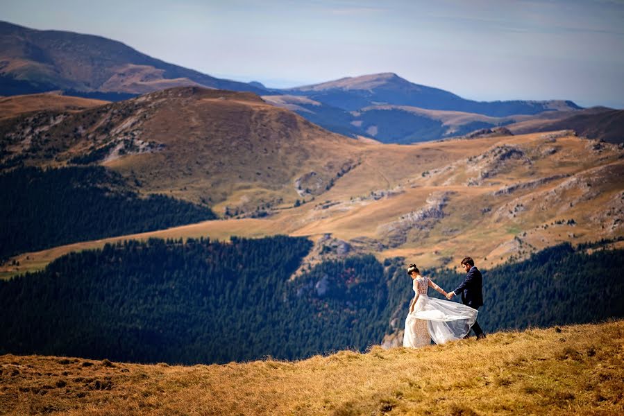 Fotógrafo de casamento Daniel Andrei (danielandrei). Foto de 12 de maio 2015