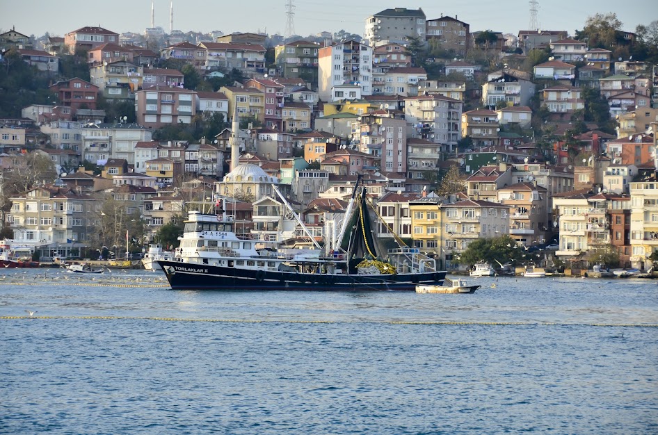 View from the cruise boat on Bosphorus, Turkey