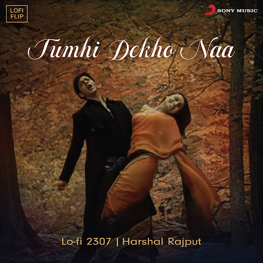 tumhi-dekho-naa-lofi-flip-youtube-music