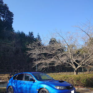 インプレッサ WRX STI GRB