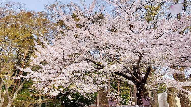 の投稿画像2枚目