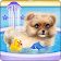 Pomeranian Puppy Day Care icon