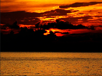 OpticAmber CSunset1600 Theme screenshot 3