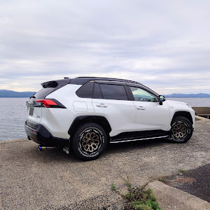 RAV4 AXAP54