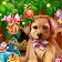 Christmas Puppy Live Wallpaper icon